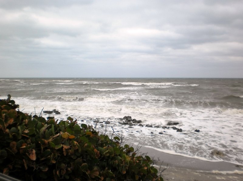 JTRG_Picnic_103011 (5).JPG